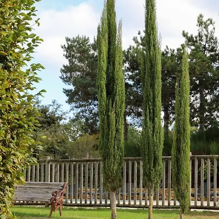 De Castel - Piscine Chauffee Hotel Sarlat-la-Caneda